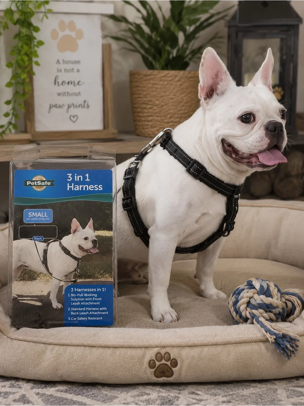 New PetSafe 3-in-1 No Pull Dog Harness Small Black | Adjustable Reflective